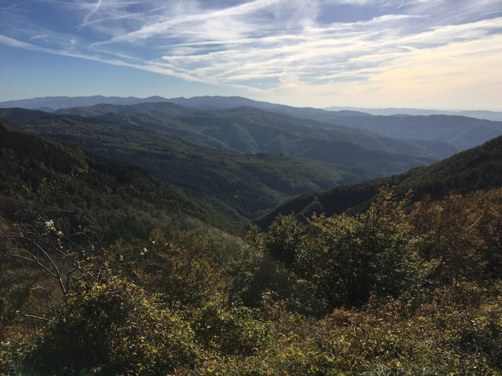 vista Massiccia