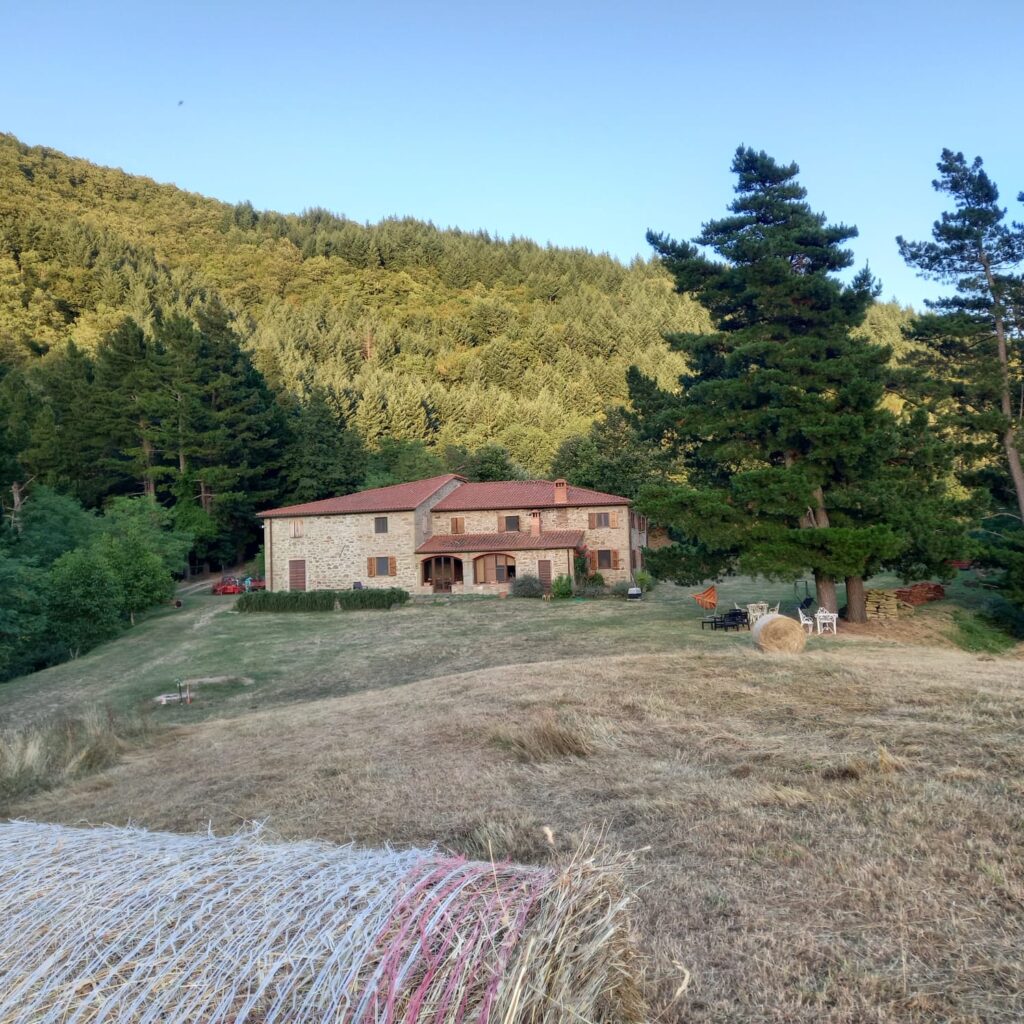 piani con rotoballa
